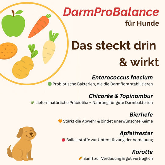 Darmpulver Hund - Durchfall Hund - Verdauungsprobleme Hund - Darmflora stabilisieren Hund