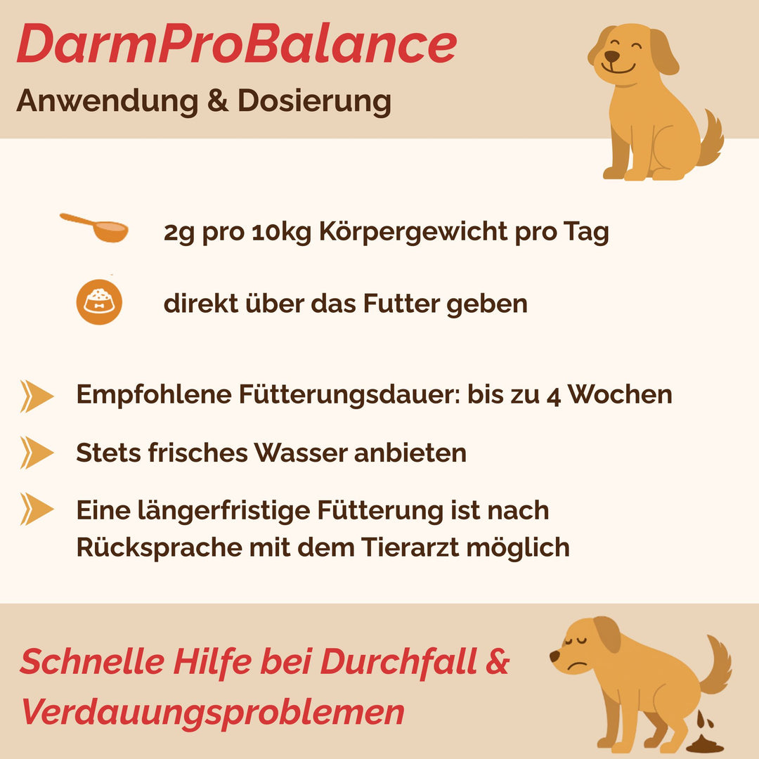 Darmpulver Hund - Durchfall Hund - Verdauungsprobleme Hund - Darmflora stabilisieren Hund