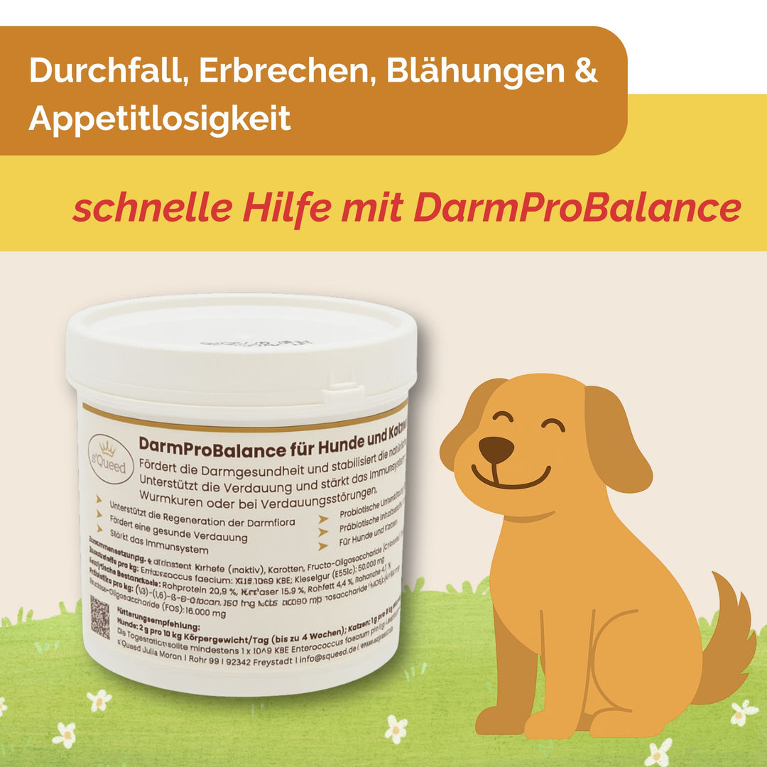 Darmpulver Hund - Durchfall Hund - Verdauungsprobleme Hund - Darmflora stabilisieren Hund