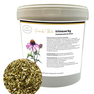 Echinacea, Roter Sonnenhut, geschnitten für Pferde, Purpursonnenhutkraut