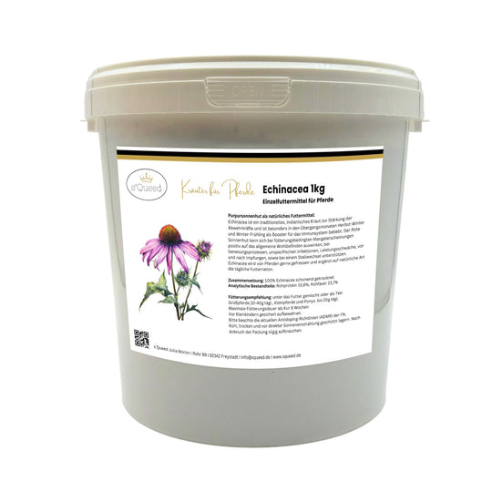 Echinacea Pferd