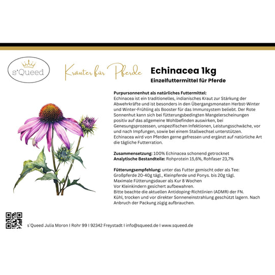 Echinacea Pferd
