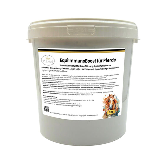 Immunkräuter für Pferde zur Stärkung des Immunsystems