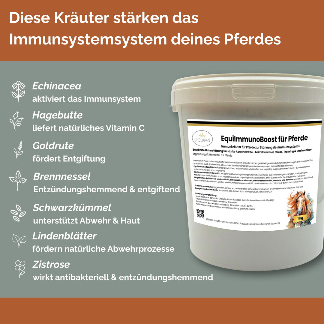 Immunkräuter für Pferde zur Stärkung des Immunsystems