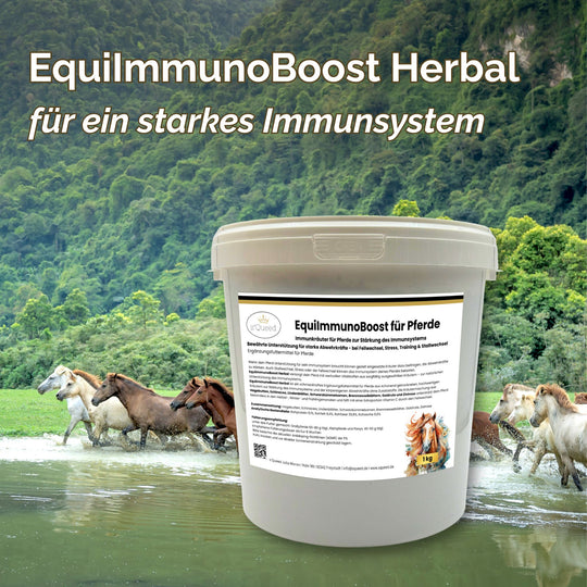 Immunkräuter für Pferde zur Stärkung des Immunsystems