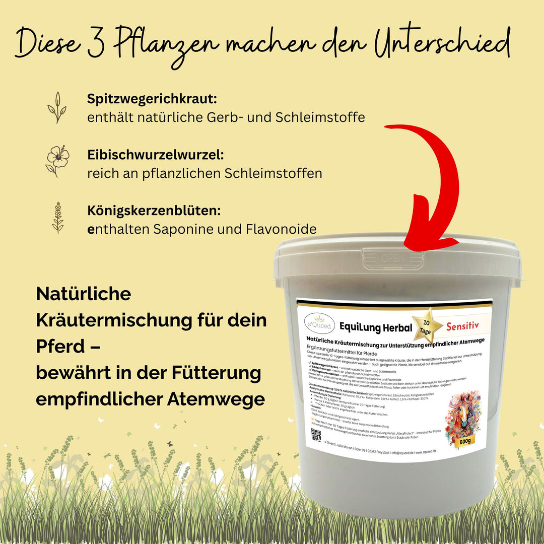 EquiLung Herbal „Sensitiv“ – Hustenkräuter für Pferde zur Unterstützung empfindlicher Atemwege (10 Tage Fütterung)