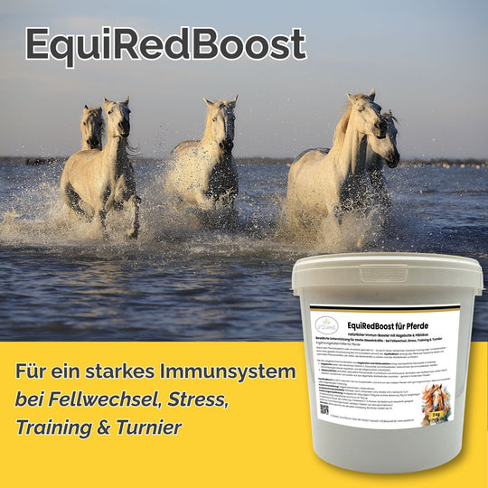 natürlicher Immun-Booster mit Hagebutte & Hibiskus