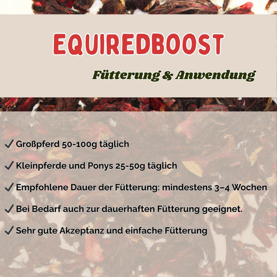 natürlicher Immun-Booster mit Hagebutte & Hibiskus