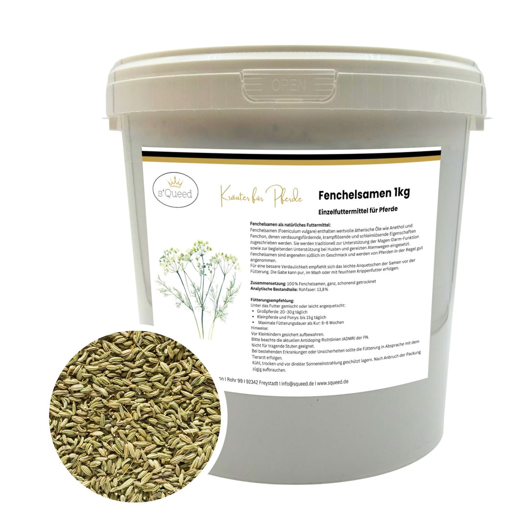Fenchel Pferd Hustenkräuter für Pferde Magenkräuter Pferd