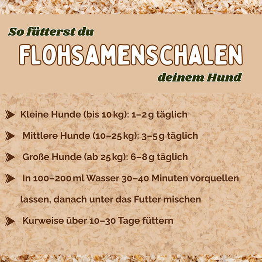 Flohsamenschalen Hund