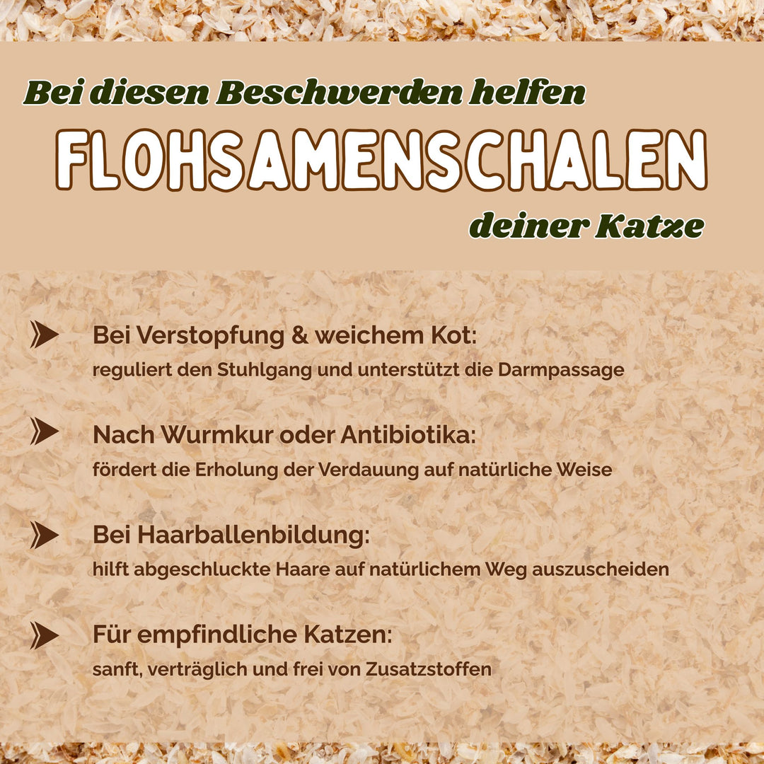 Flohsamenschalen Katze