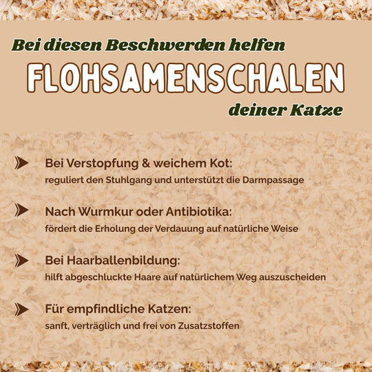 Flohsamenschalen Katze