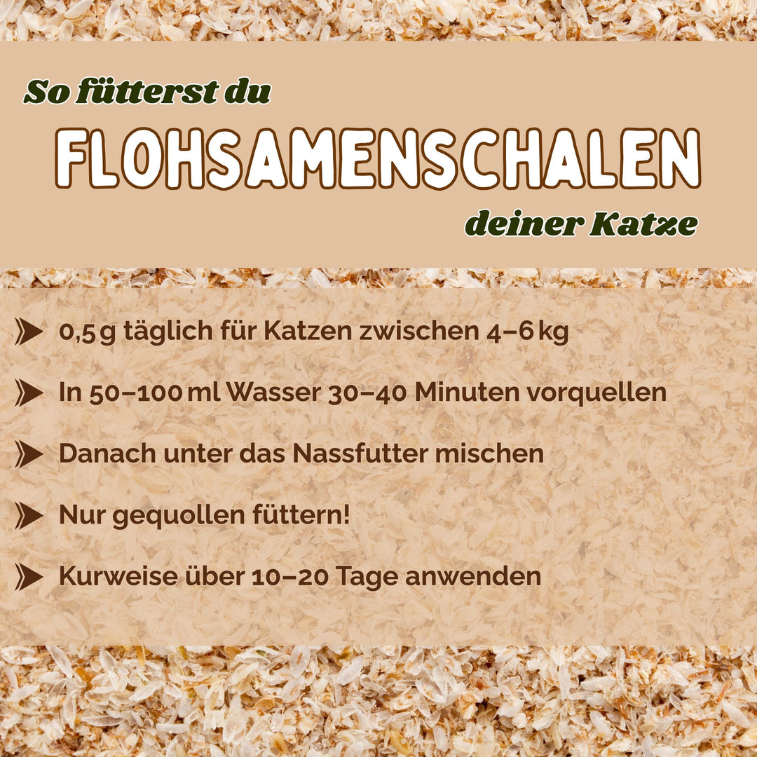 Flohsamenschalen Katze