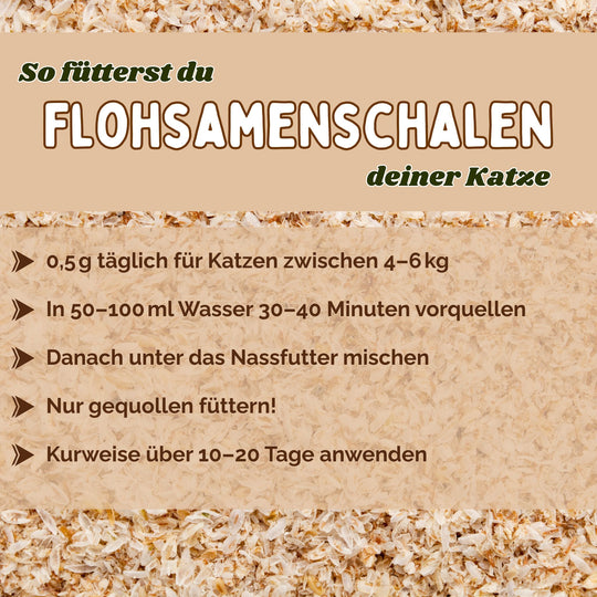 Flohsamenschalen Katze