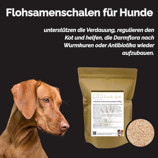Flohsamenschalen Hund