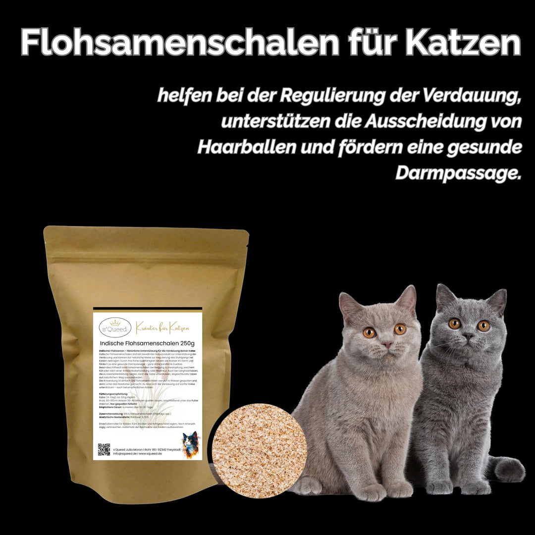 Flohsamenschalen Katze