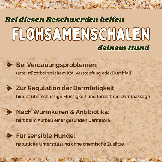 Flohsamenschalen Hund
