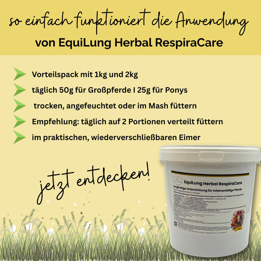 Hustenkräuter für Pferde