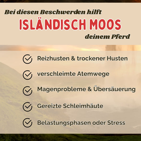 Isländisch Moos Pferd - Hustenkräuter für Pferde - Magenkräuter Pferd