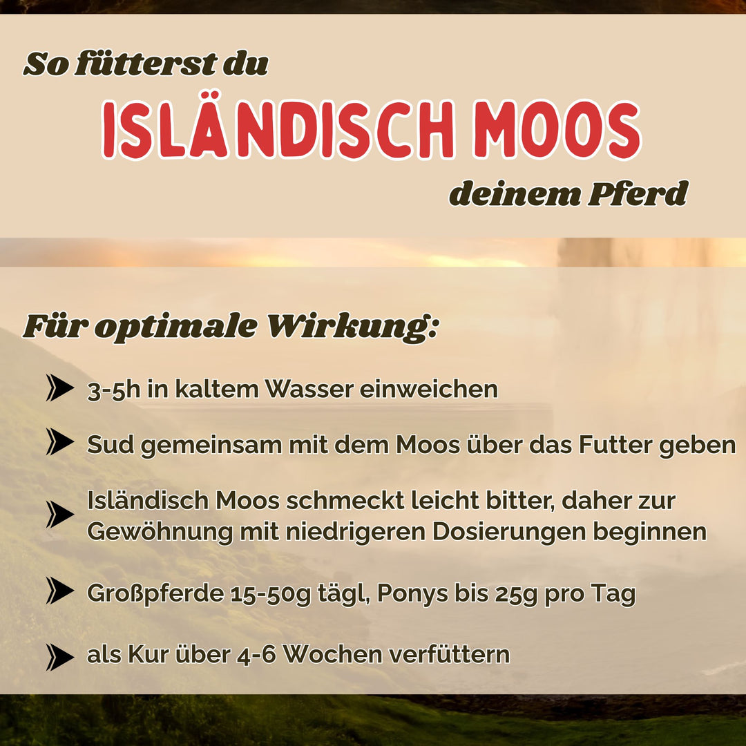 Isländisch Moos Pferd - Hustenkräuter für Pferde - Magenkräuter Pferd