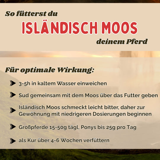 Isländisch Moos Pferd - Hustenkräuter für Pferde - Magenkräuter Pferd