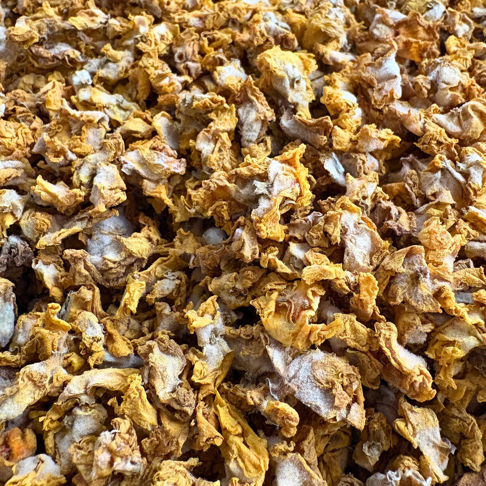 Königskerzenbüten Pferd - Hustenkräuter für Pferde - Schleimlöser Pferd