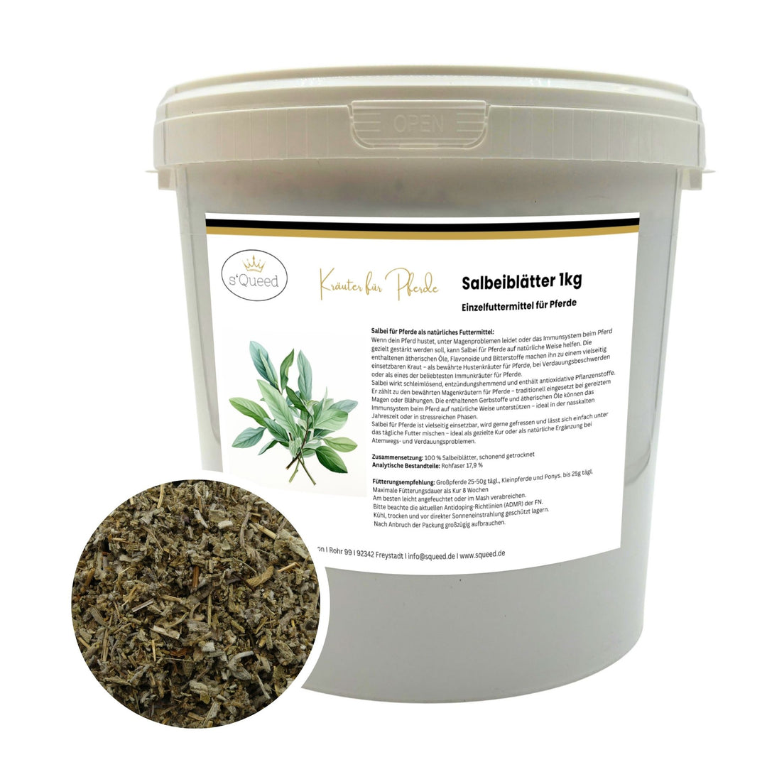 Salbei Pferd - Hustenkräuter für Pferde - Magenkräuter & Immunkräuter