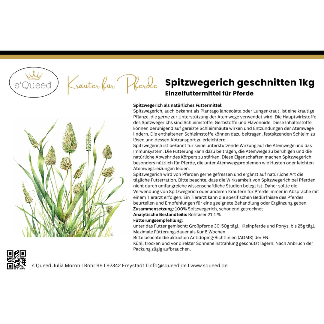 Spitzwegerich für Pferde - Hustenkräuter für Pferde - Schleimlöser Pferd