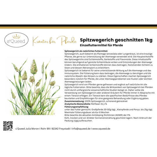 Spitzwegerich für Pferde - Hustenkräuter für Pferde - Schleimlöser Pferd