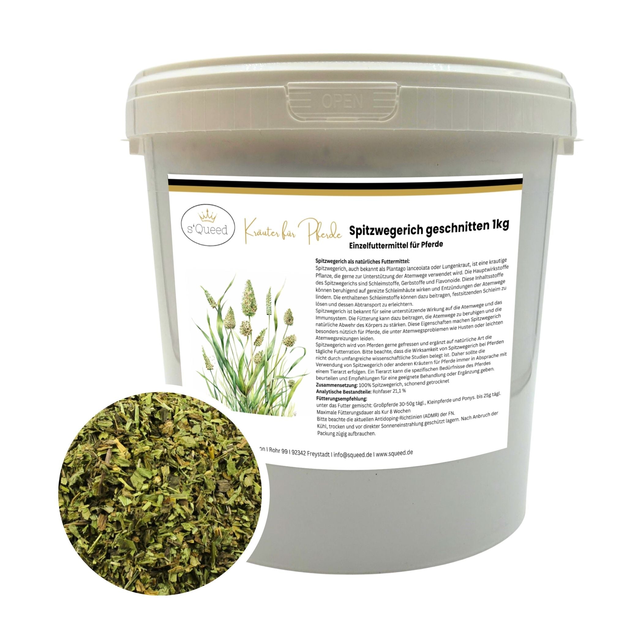 Spitzwegerich für Pferde - Hustenkräuter für Pferde - Schleimlöser Pferd