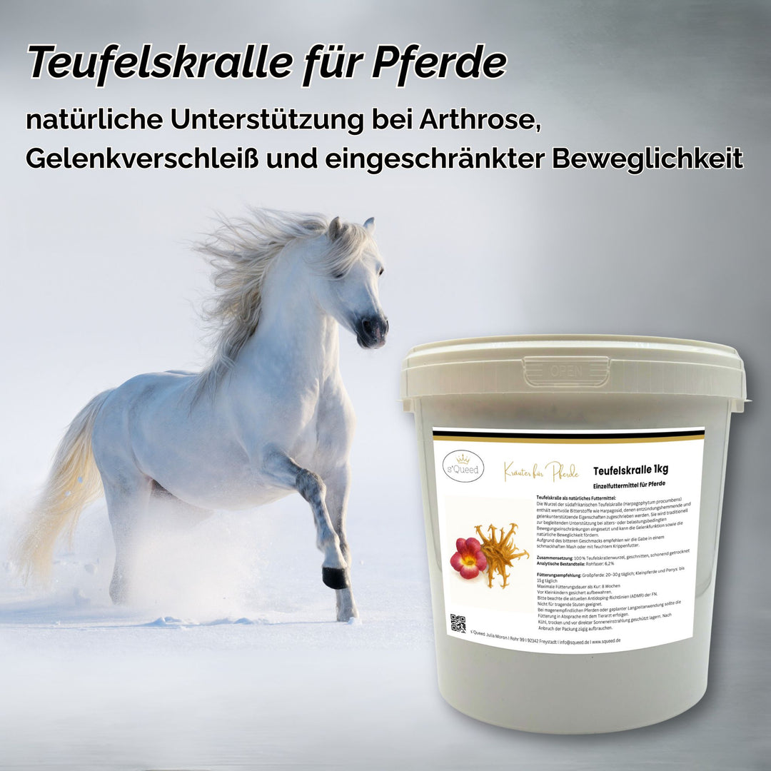 Teufelskralle Pferd geschnitten