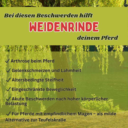 Weidenrinde Pferd
