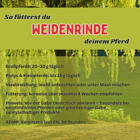 Weidenrinde Pferd
