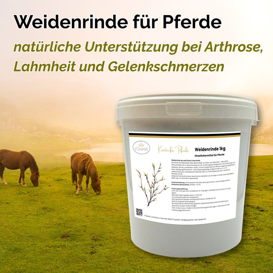 Weidenrinde Pferd