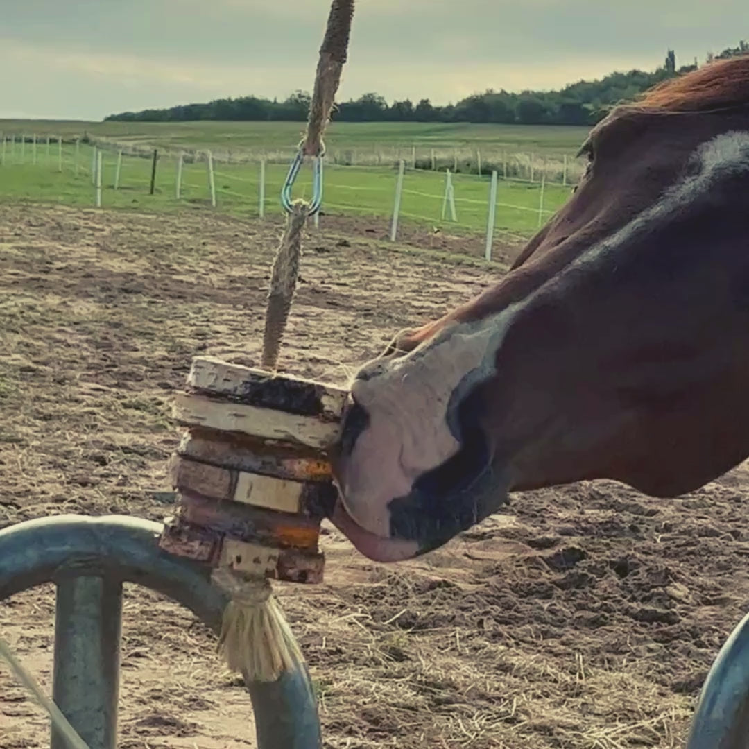 Schleck Twister Pferdespielzeuge