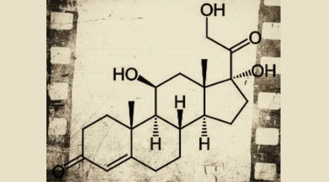 Dr. Jekyll oder Mr. Hyde? Welche Rolle spielt Cortisol bei Stress?