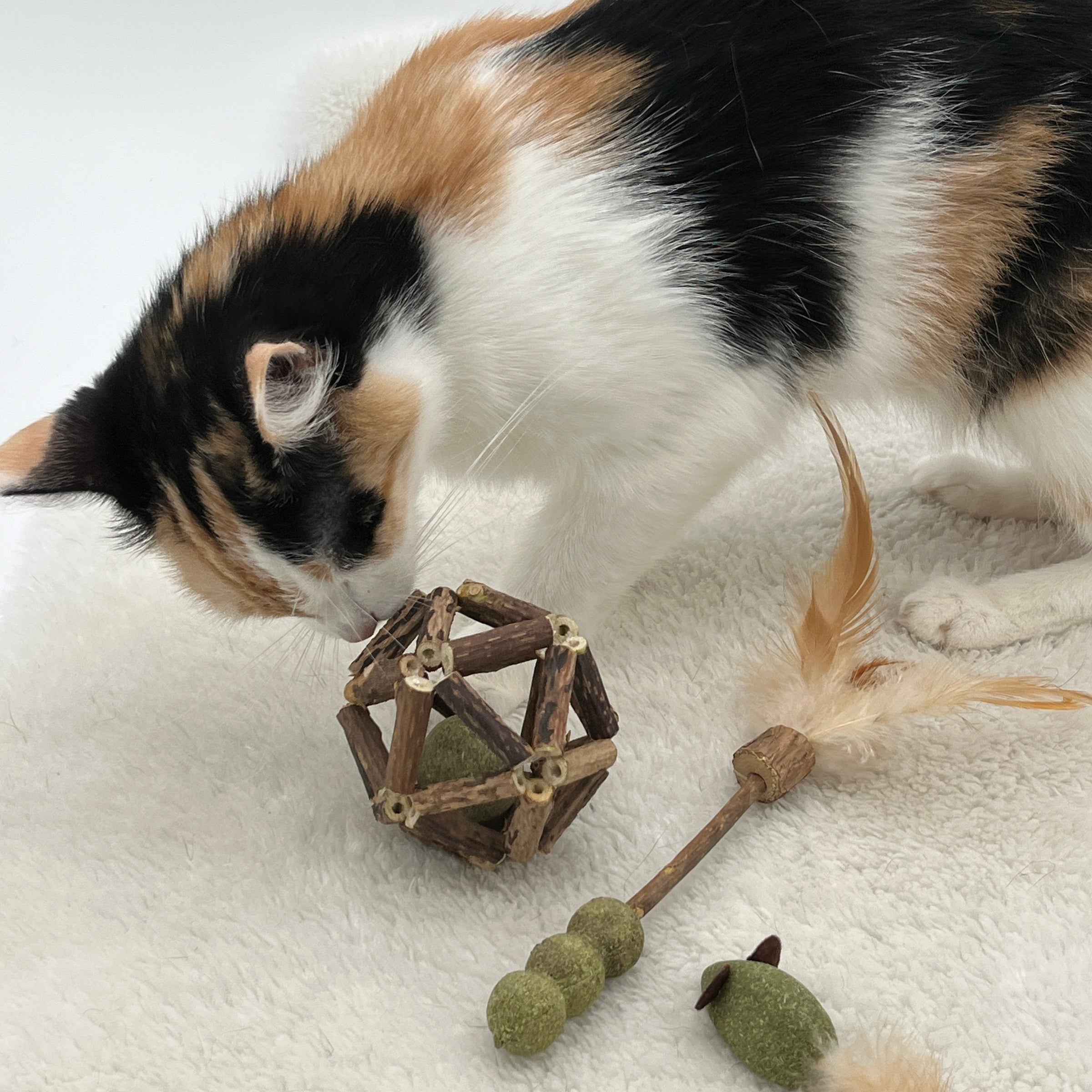 Katzenspielzeuge