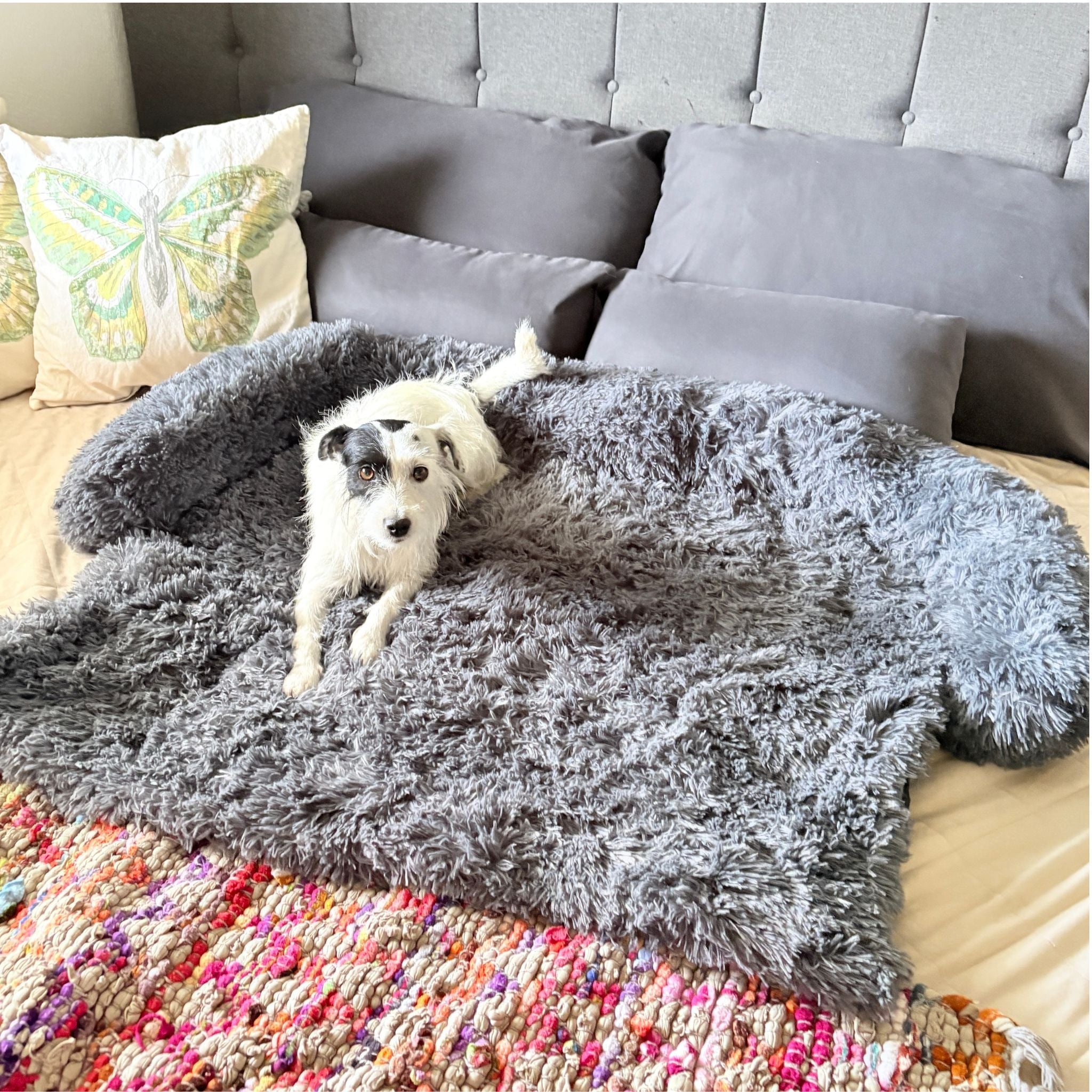 Hundebetten