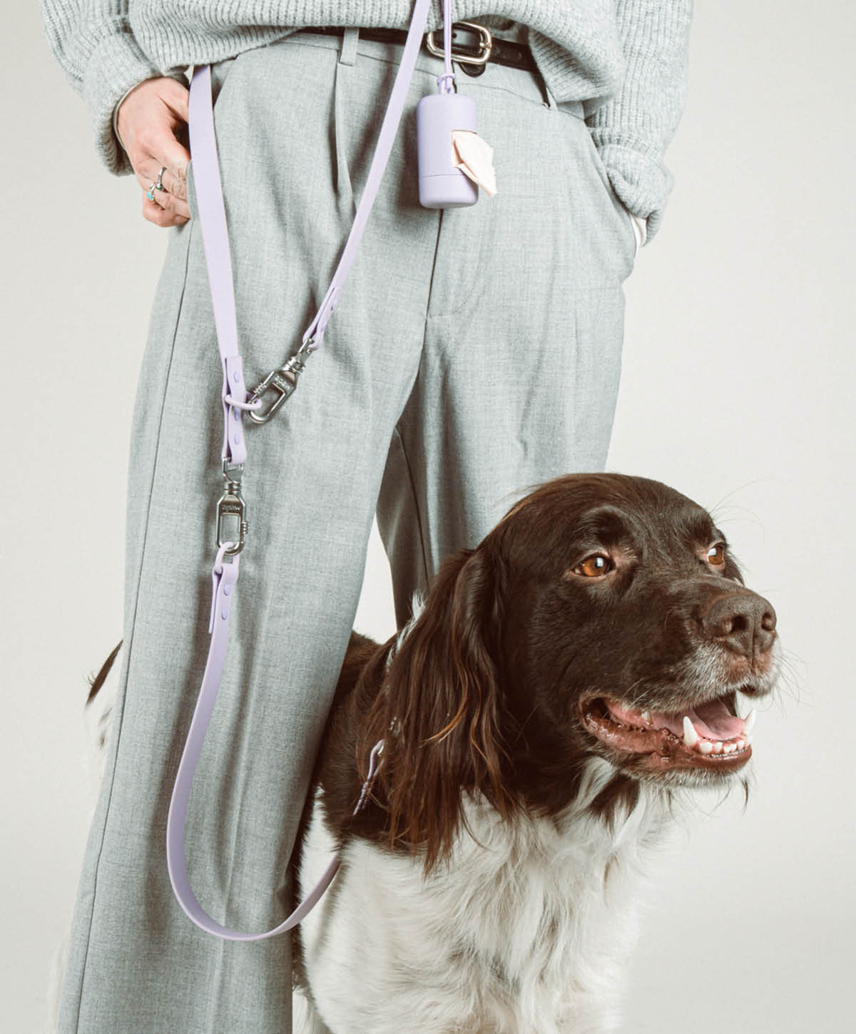Hundehalsbänder, Leinen & Gassigehzubehör