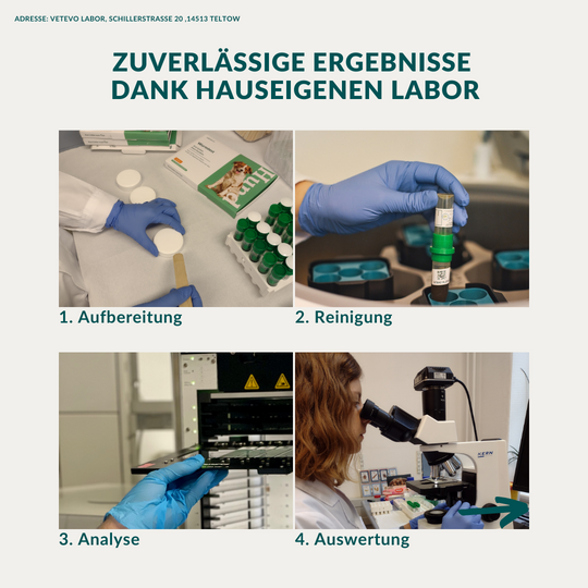 Wurmtest Basic Hund Sparpaket