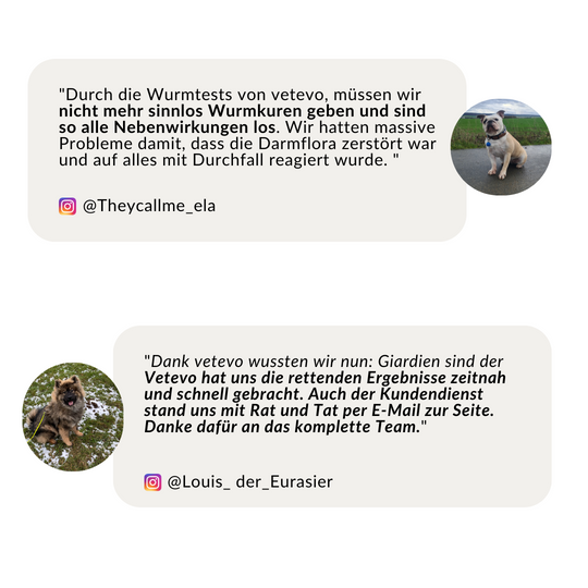 Wurmtest Plus Hund