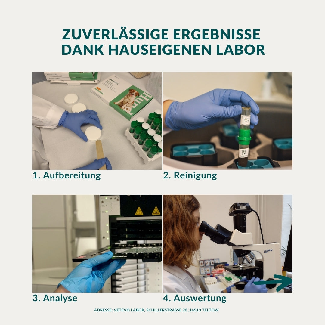 Wurmtest Basic Katze Sparpaket