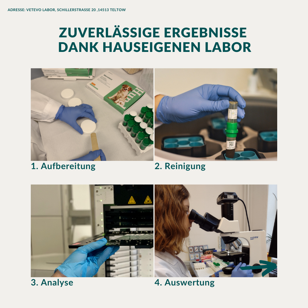 Wurmtest Basic Pferd Sparpaket