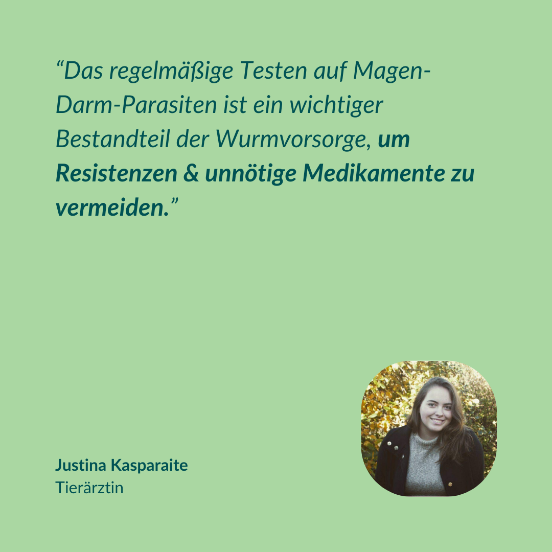 Wurmtest Basic Pferd Sparpaket