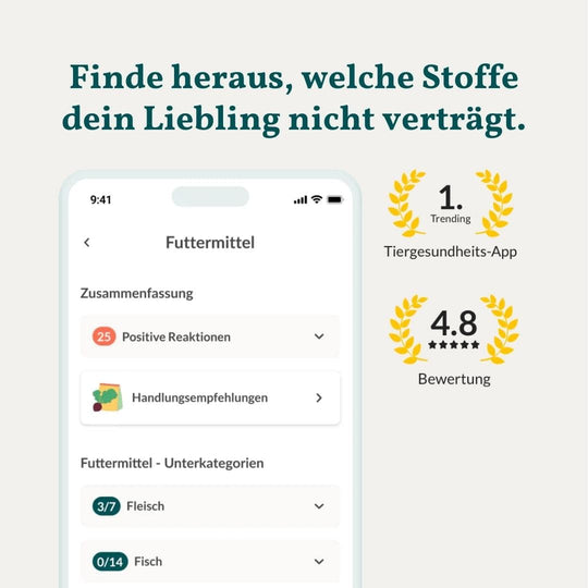 Allergietest Basic Hund