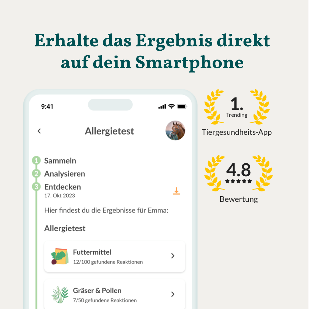 Mikronährstofftest - Mängel Pferd