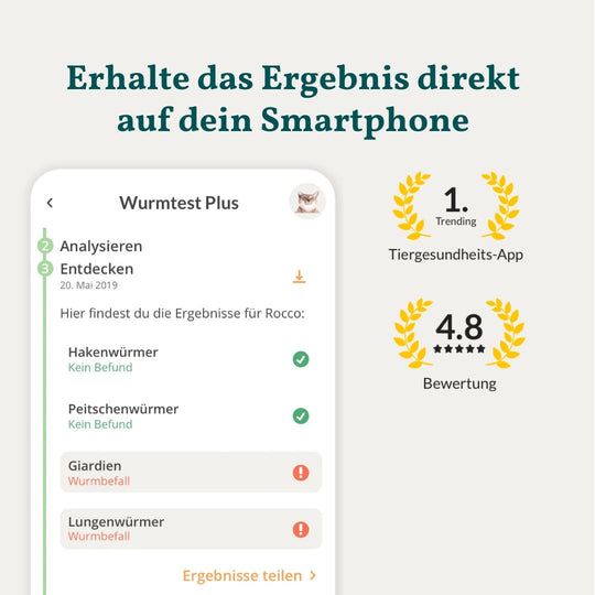 Wurmtest Basic Katze Sparpaket