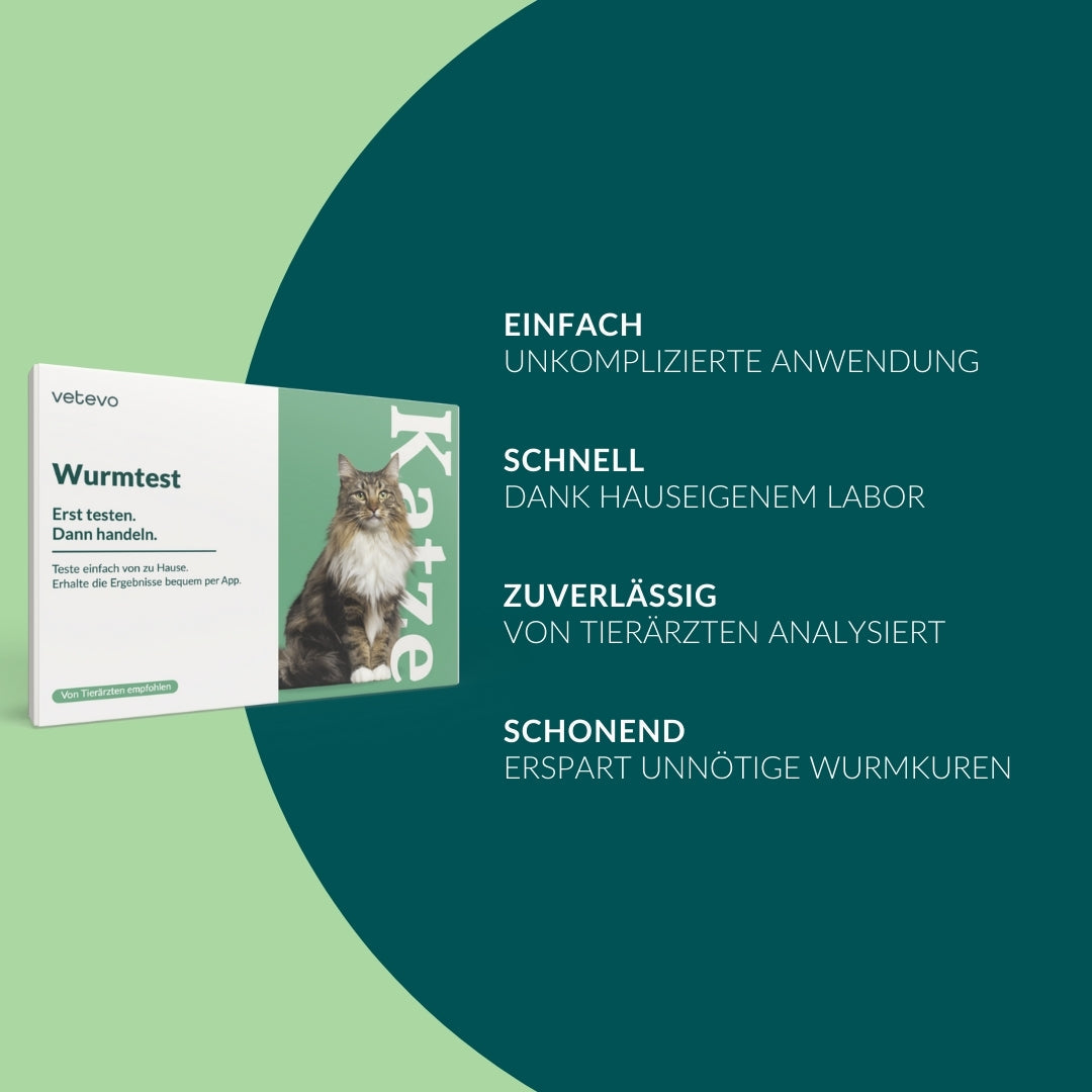 Wurmtest Basic Katze Sparpaket