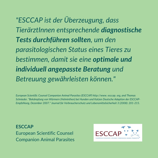 Wurmtest Basic Katze Sparpaket