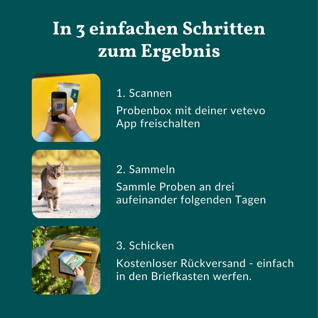 Wurmtest Pro Katze Sparpaket